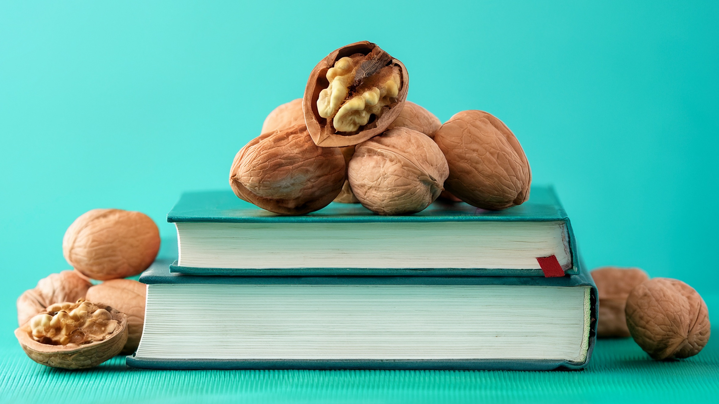 Knacknüsse können Sie uns gerne überlassen